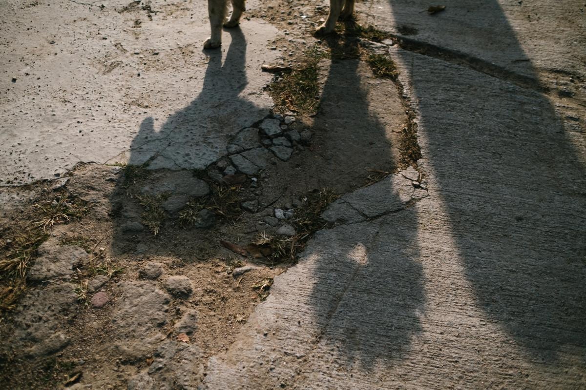 收地發展,受影響的除了是村民外,亦破壞了一眾動物的家。(盧翊銘攝) 收地發展,受影響的除了是村民外,亦破壞了一眾動物的家。(盧翊銘攝)