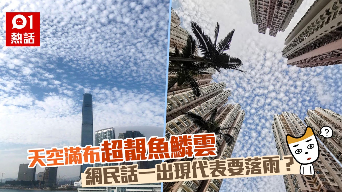 魚鱗雲 天空滿布 高積雲 激似魚鱗網民 傳說中嘅地震雲
