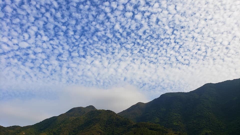 é­šé±—é›² å¤©ç©ºæ»¿å¸ƒ é«˜ç©é›² æ¿€ä¼¼é­šé±—ç¶²æ°' å‚³èªªä¸­å˜…åœ°éœ‡é›² é¦™æ¸¯01 ç†±çˆ†è©±é¡Œ