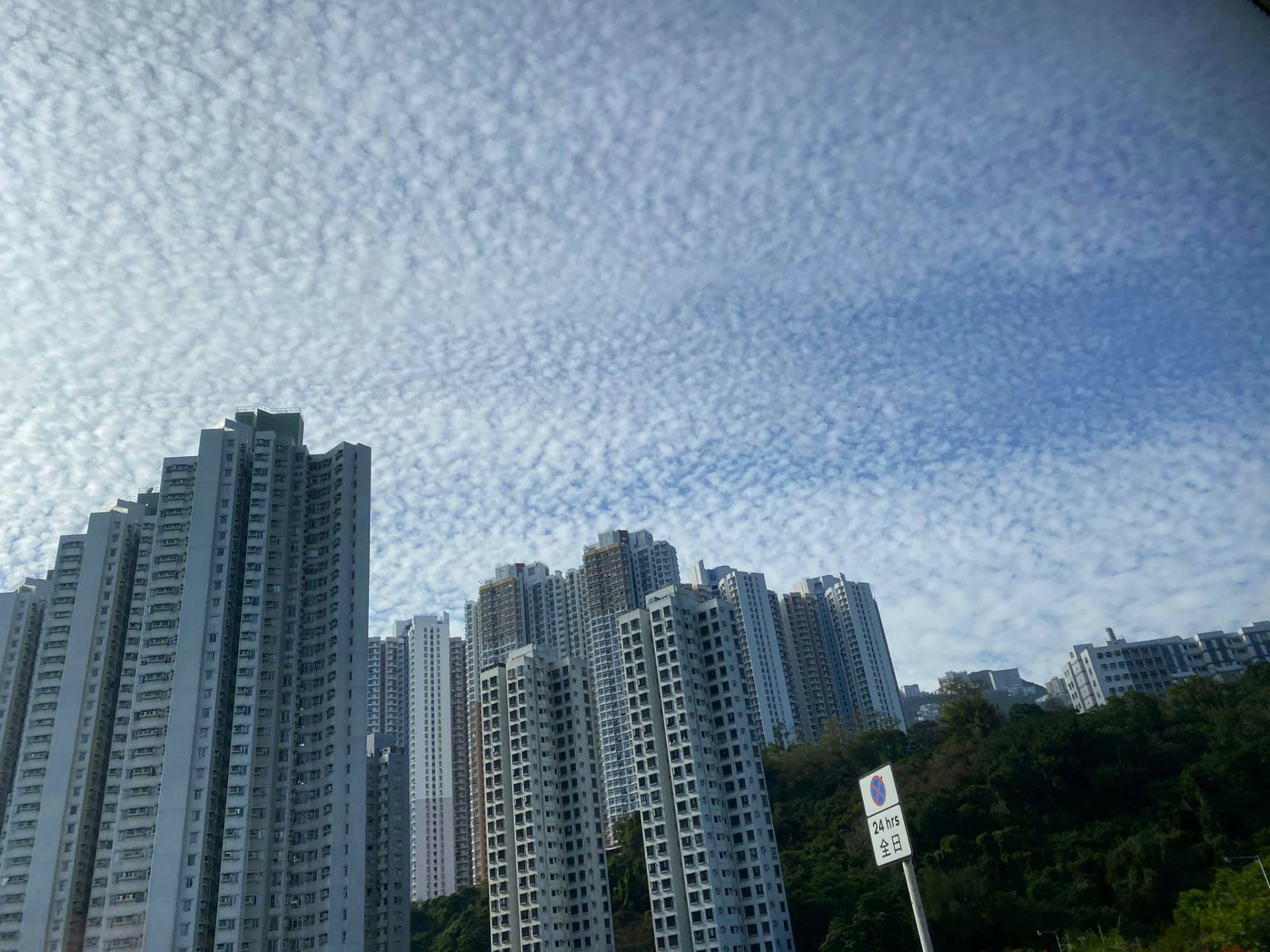 é­šé±—é›² å¤©ç©ºæ»¿å¸ƒ é«˜ç©é›² æ¿€ä¼¼é­šé±—ç¶²æ°' å‚³èªªä¸­å˜…åœ°éœ‡é›² é¦™æ¸¯01 ç†±çˆ†è©±é¡Œ