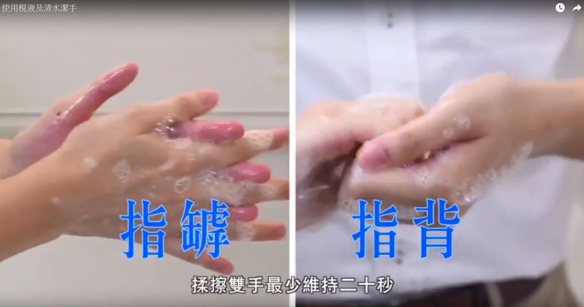 洗手步驟3：按洗手七式揉擦雙手各部分最少20秒，分別是手掌、手背、手指罅、指背、拇指、指尖、手腕。（衞生署衞生防護中心片段截圖）