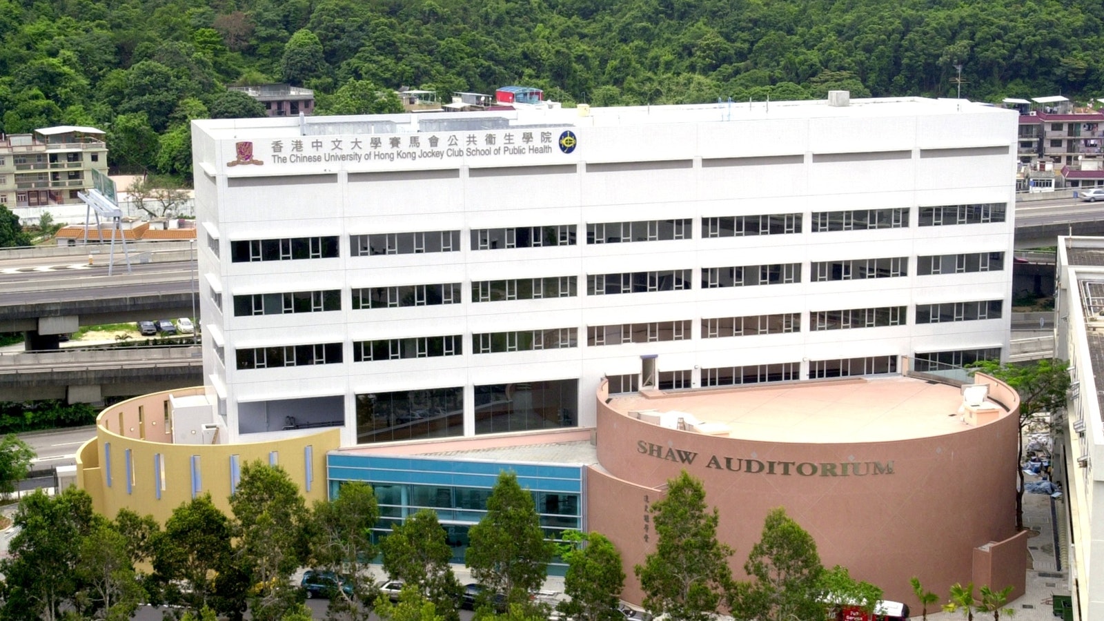 中大研究︰九成受訪長者有兩個或以上痛症部位 膝痛佔最多 中大研究︰九成受訪長者有兩個或以上痛症部位 膝痛佔最多