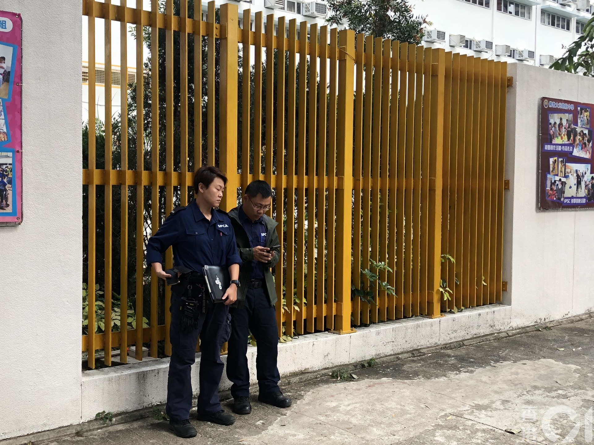 愛護動物協會亦有派員協助跟進。(胡家欣攝) 愛護動物協會亦有派員協助跟進。(胡家欣攝)