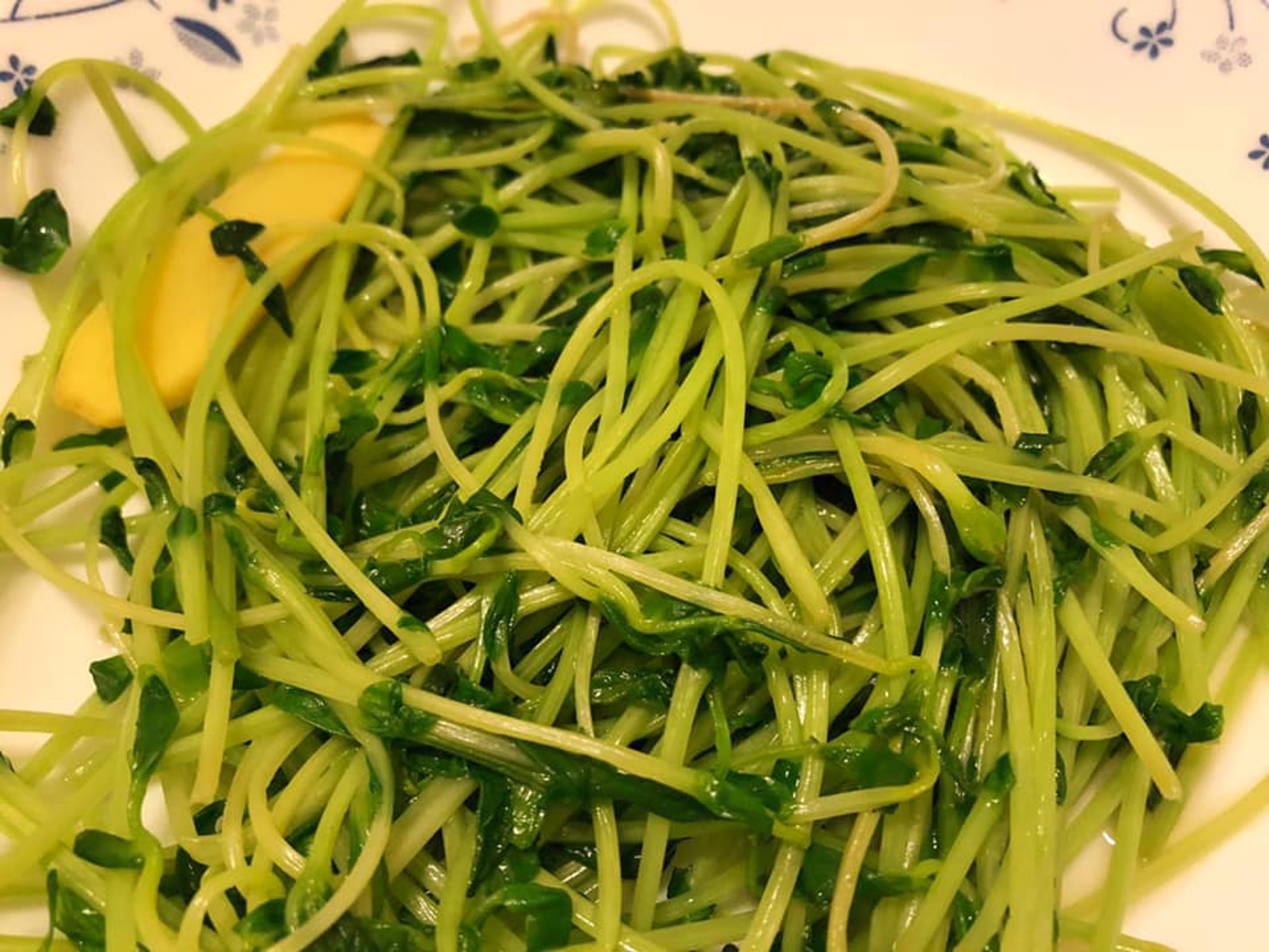9包日本豆苗可以食幾次港媽讚食完可以再種好抵 剪完佢會再生 香港01 熱爆話題 9包日本豆苗可以食幾次港媽讚食完可以再種好抵 剪完佢會再生 香港01 熱爆話題