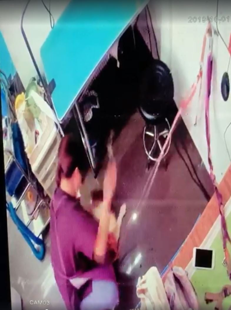 大埔一寵物美容師涉虐打狗隻。 大埔一寵物美容師涉虐打狗隻。