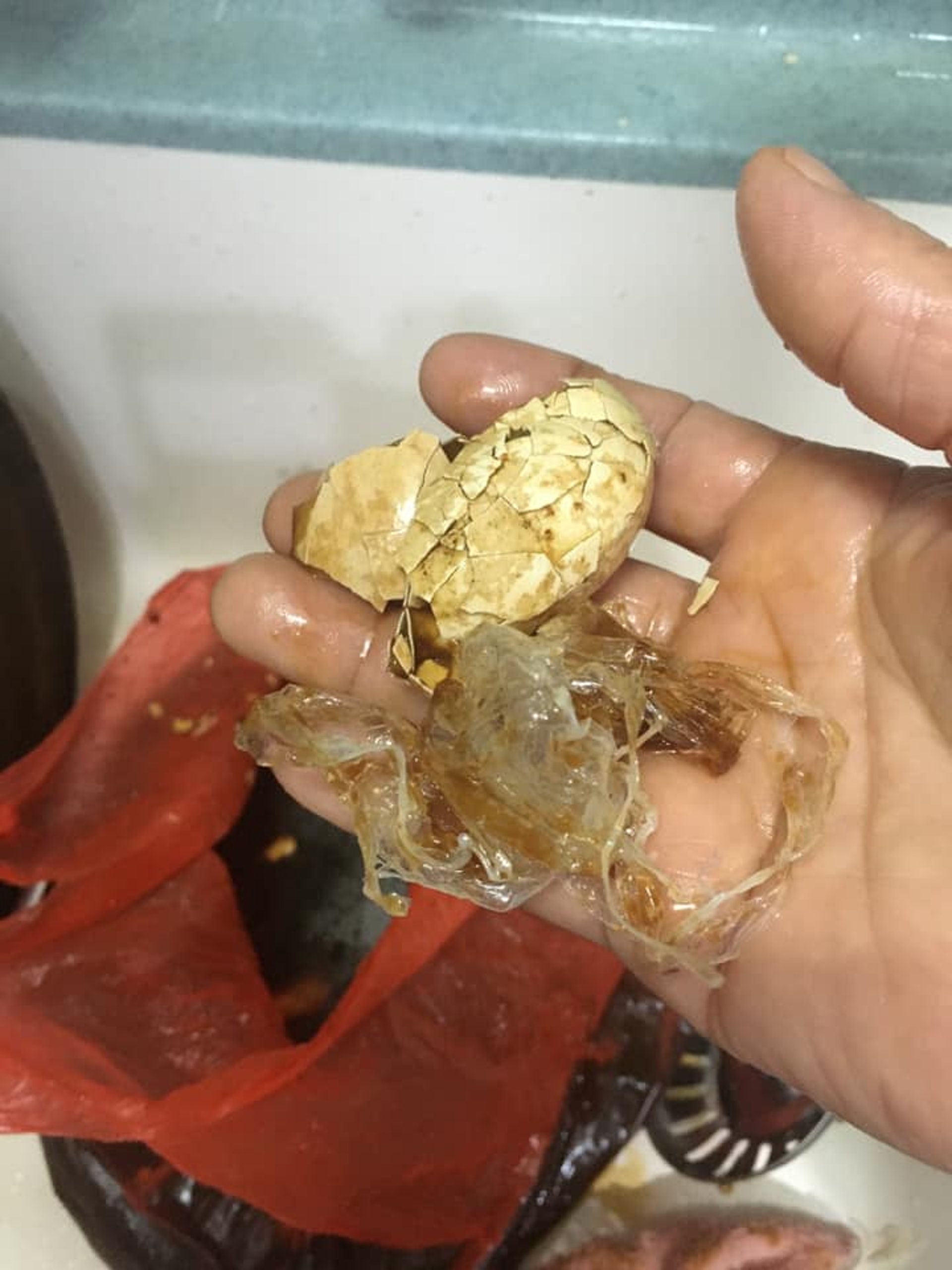 樓主指,最近媽媽到深水埗北河街街市的菜檔購買了一排白雞蛋,完成後發現該批雞蛋全部一開殼不但沒有蛋白及蛋黃,只剩下一堆帶啡色又半透明的膠膜,非常恐怖。(fb群組「今晚食乜好」圖片) 樓主指,最近媽媽到深水埗北河街街市的菜檔購買了一排白雞蛋,完成後發現該批雞蛋全部一開殼不但沒有蛋白及蛋黃,只剩下一堆帶啡色又半透明的膠膜,非常恐怖。(fb群組「今晚食乜好」圖片)