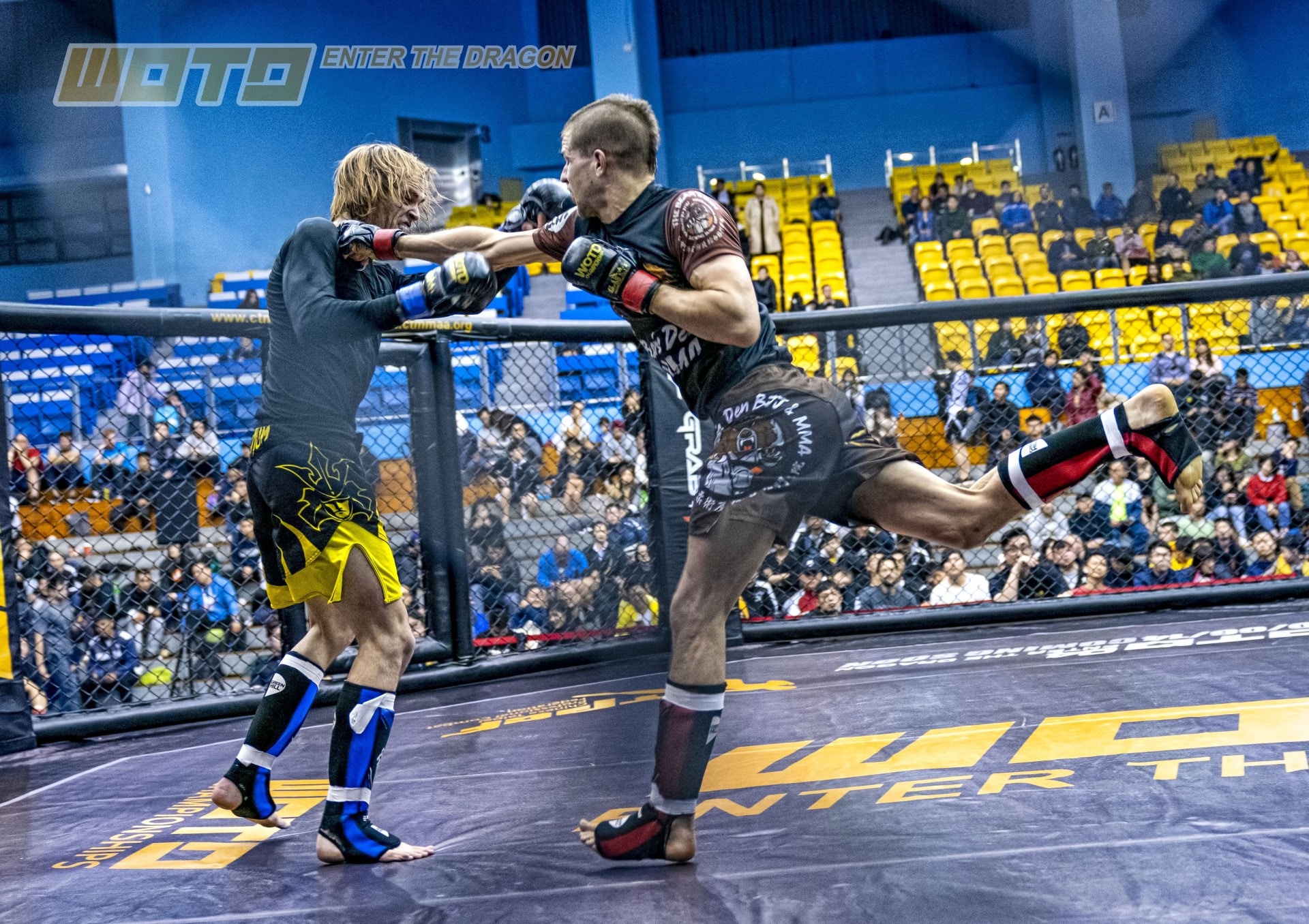 Mma Wotd 台灣大選翌日港拳手奪勝而歸台健身網紅參賽鬥踢拳