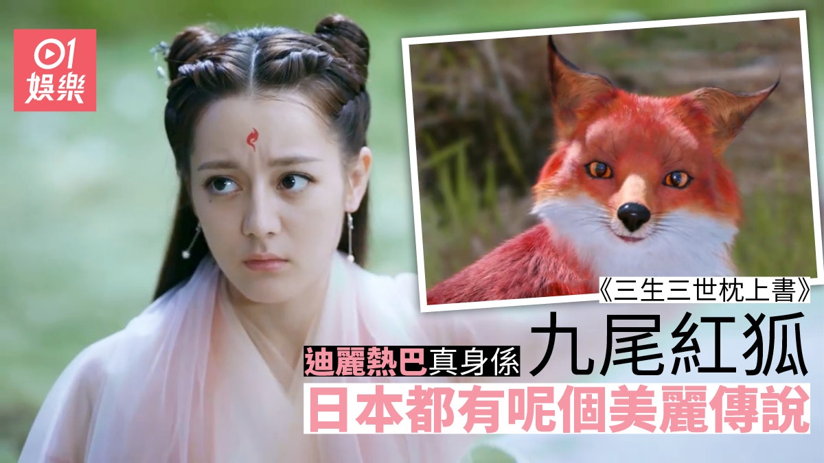 三生三世枕上書 日本都有九尾紅狐傳說究竟仲有幾多狐仙