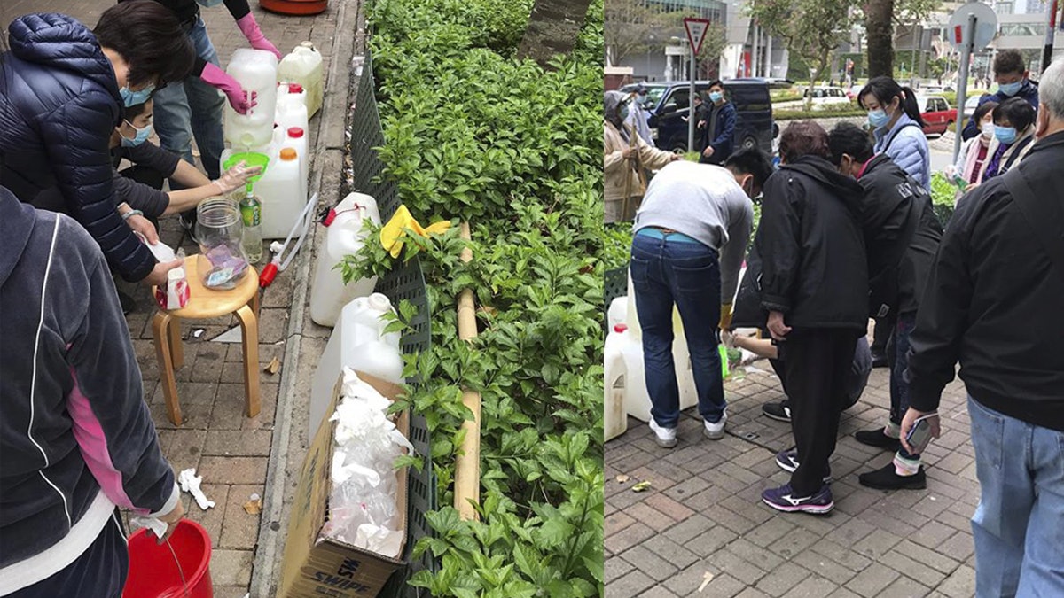 武漢肺炎│將軍澳藥房成桶漂白水任取任訂價 店員:想街坊有得用 武漢肺炎│將軍澳藥房成桶漂白水任取任訂價 店員:想街坊有得用