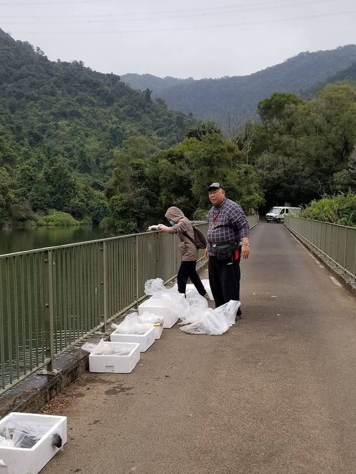 網民Sam直擊河背水塘放生事件。 (網民Sam Ho提供圖片) 網民Sam直擊河背水塘放生事件。 (網民Sam Ho提供圖片)