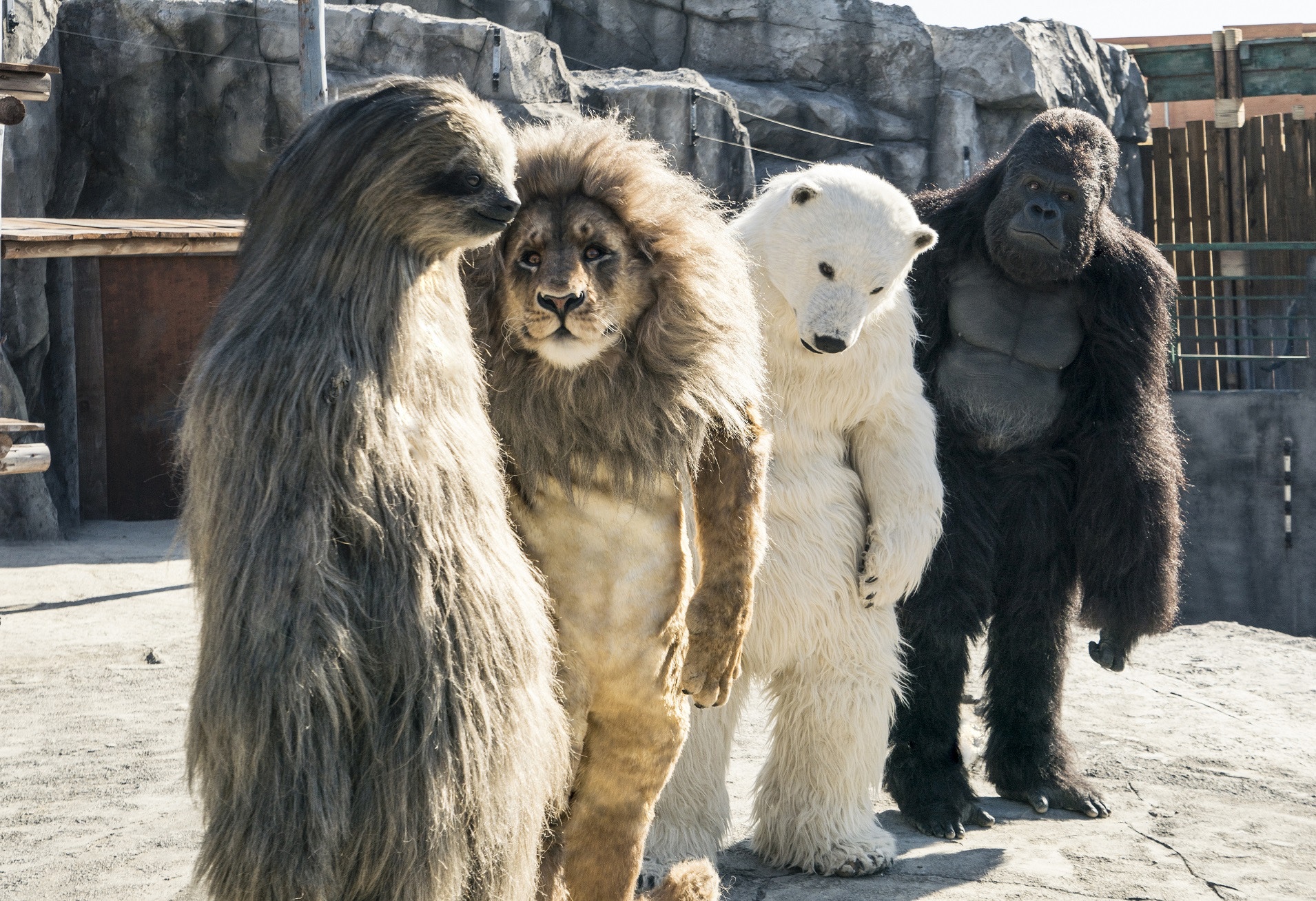 獸頭救兵 日本動物園職員扮獅子唔係搞笑背後涉重大危機處理 香港01 電影