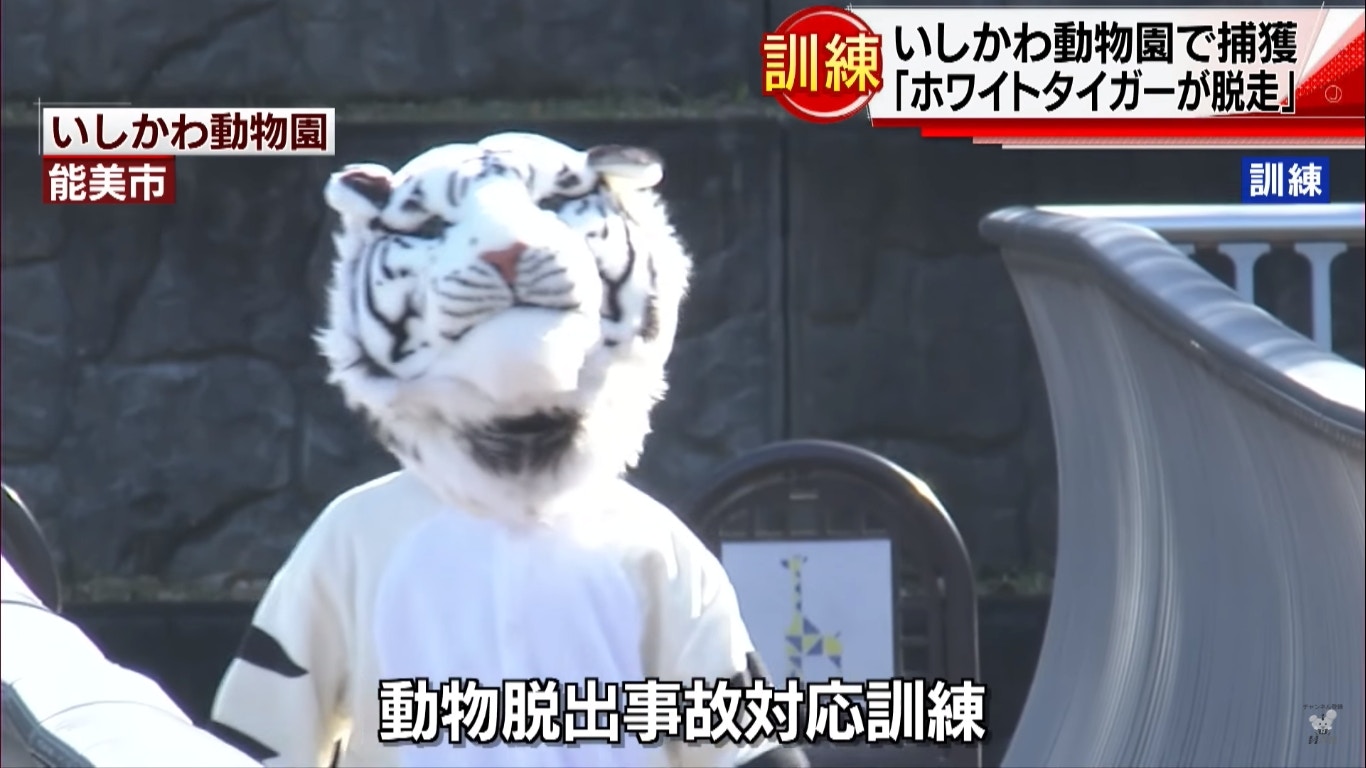 獸頭救兵 日本動物園職員扮獅子唔係搞笑背後涉重大危機處理 香港01 電影