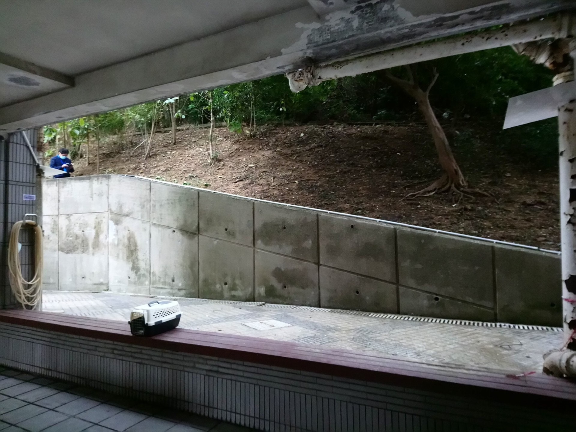 【豪景花園虐畜案】現場為深井豪景花園一山坡。(荃灣郊區區議員伍顯龍提供相片) 【豪景花園虐畜案】現場為深井豪景花園一山坡。(荃灣郊區區議員伍顯龍提供相片)