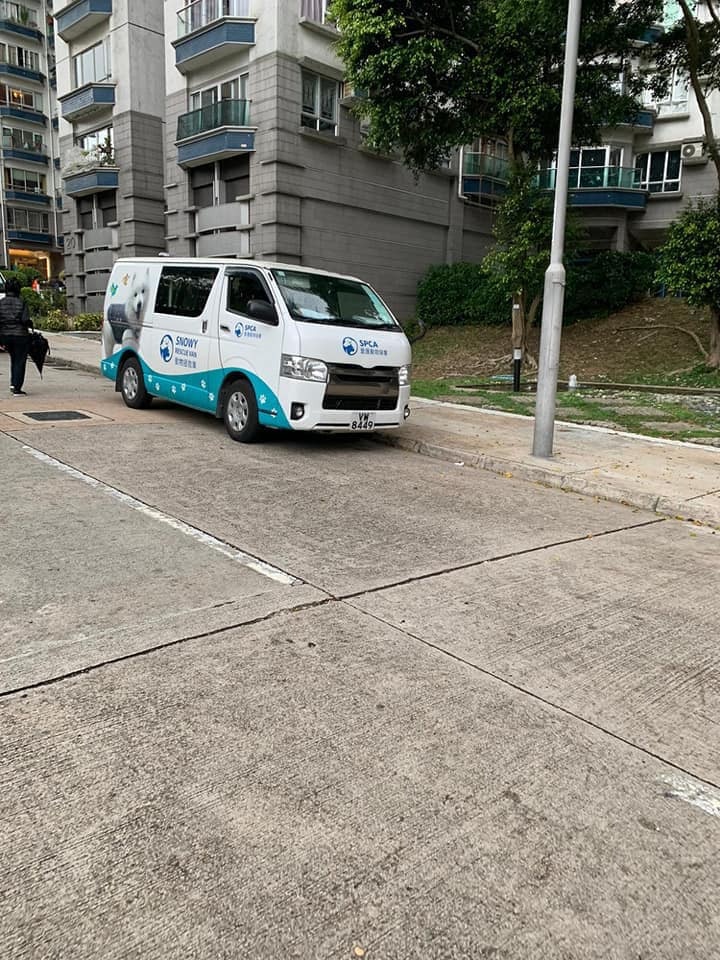 (網上圖片) (網上圖片)