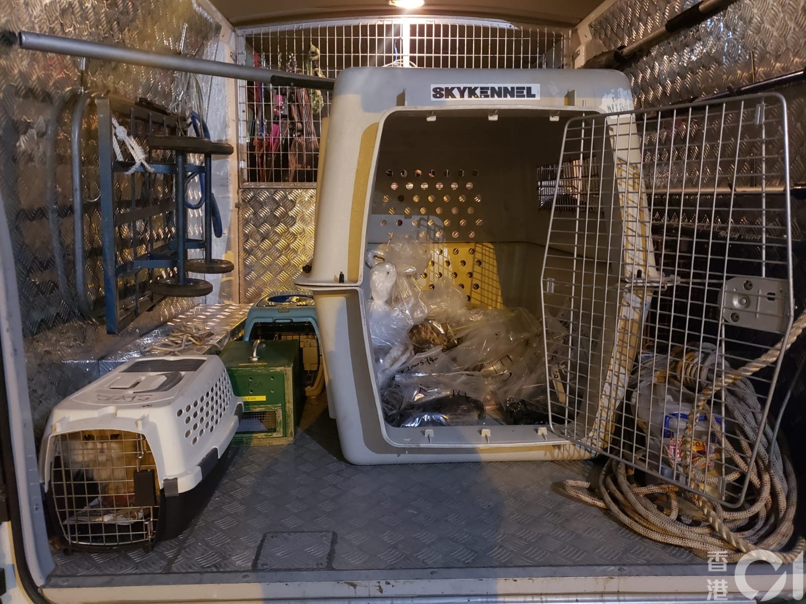 愛協人員帶走動物屍體作進一步調查。 愛協人員帶走動物屍體作進一步調查。