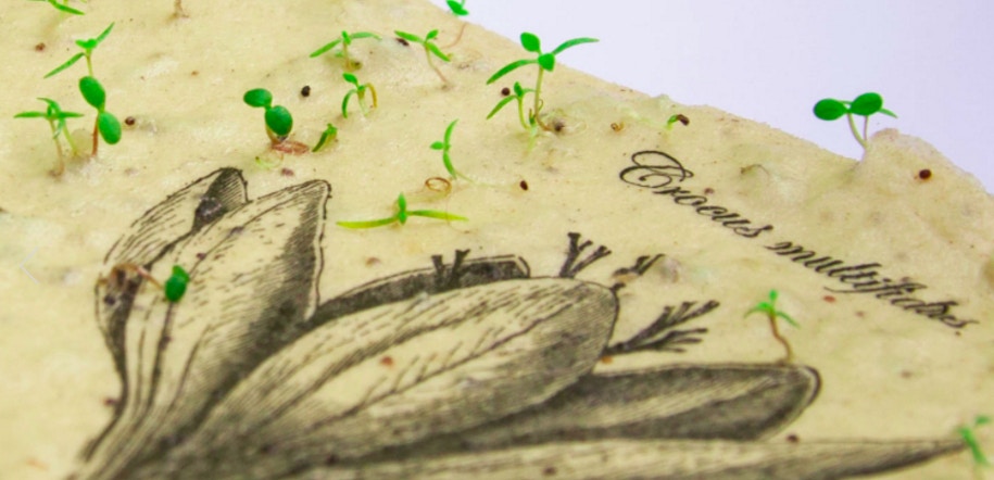 走塑生活】港夫妻旅居歐洲驚見5回收箱引入種子卡提醒愛地球