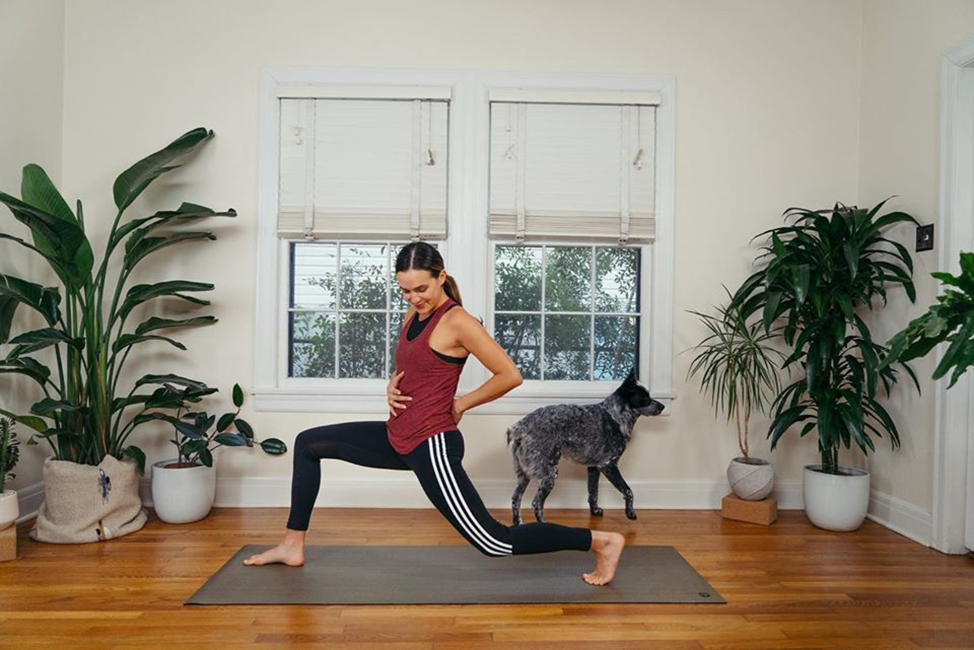 「Yoga With Adriene」勝在夠「慢」，每個動作在停留良久，讓觀眾深入地「拉筋拉個飽」，筆者覺得那很適合工作完畢後，做做瑜珈，分隔工作與休息的時間。（Yoga With Adrien@Facebook）