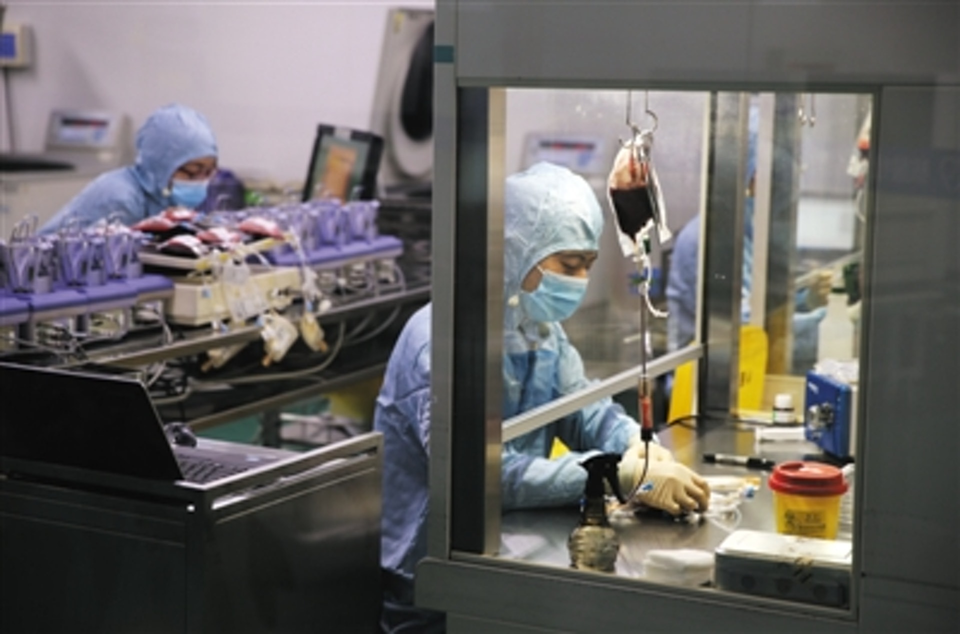 北京臍血庫製備室工作人員正在處理臍帶血。(網上圖片) 北京臍血庫製備室工作人員正在處理臍帶血。(網上圖片)