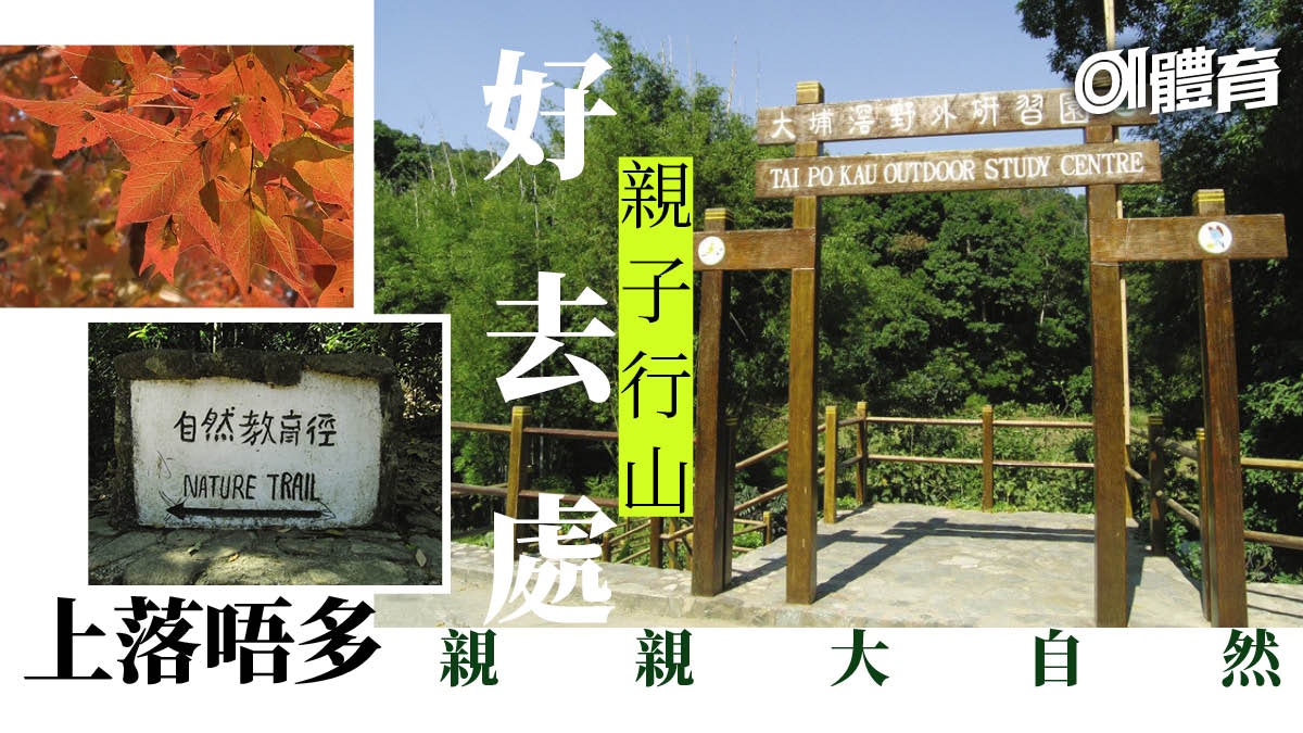 大埔行山路線 大埔滘自然教育徑3大推介景點附交通資料 親子行山 大埔行山路線 大埔滘自然教育徑3大推介景點附交通資料 親子行山