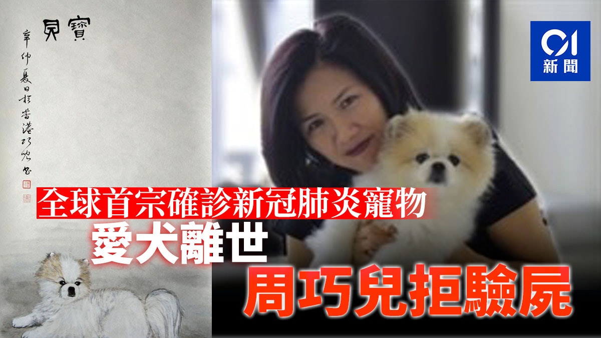 武漢肺炎 周巧兒松鼠狗成全球首隻確診犬上周回家周一離世 武漢肺炎 周巧兒松鼠狗成全球首隻確診犬上周回家周一離世