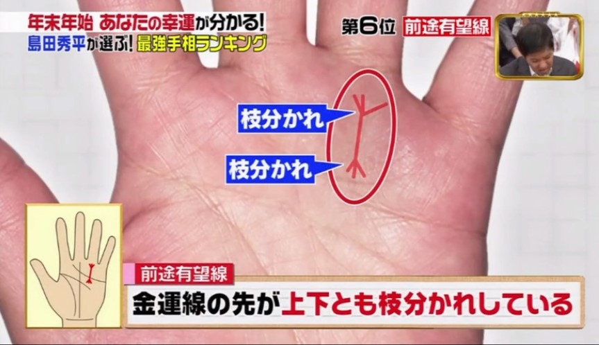 玉掌流手相大全 玉掌流手相大全 佐藤六龍 張耀文 香草社