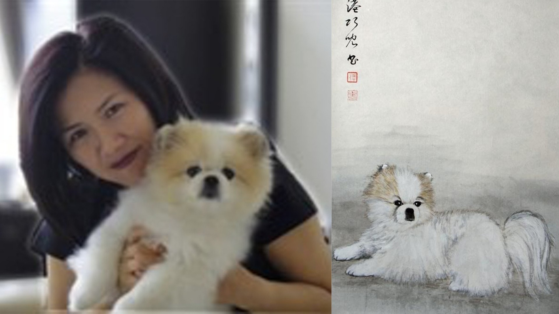 新冠肺炎 周巧兒17歲松鼠狗周一離世漁護署認為非死於疫症 香港01 社會新聞 新冠肺炎 周巧兒17歲松鼠狗周一離世漁護署認為非死於疫症 香港01 社會新聞