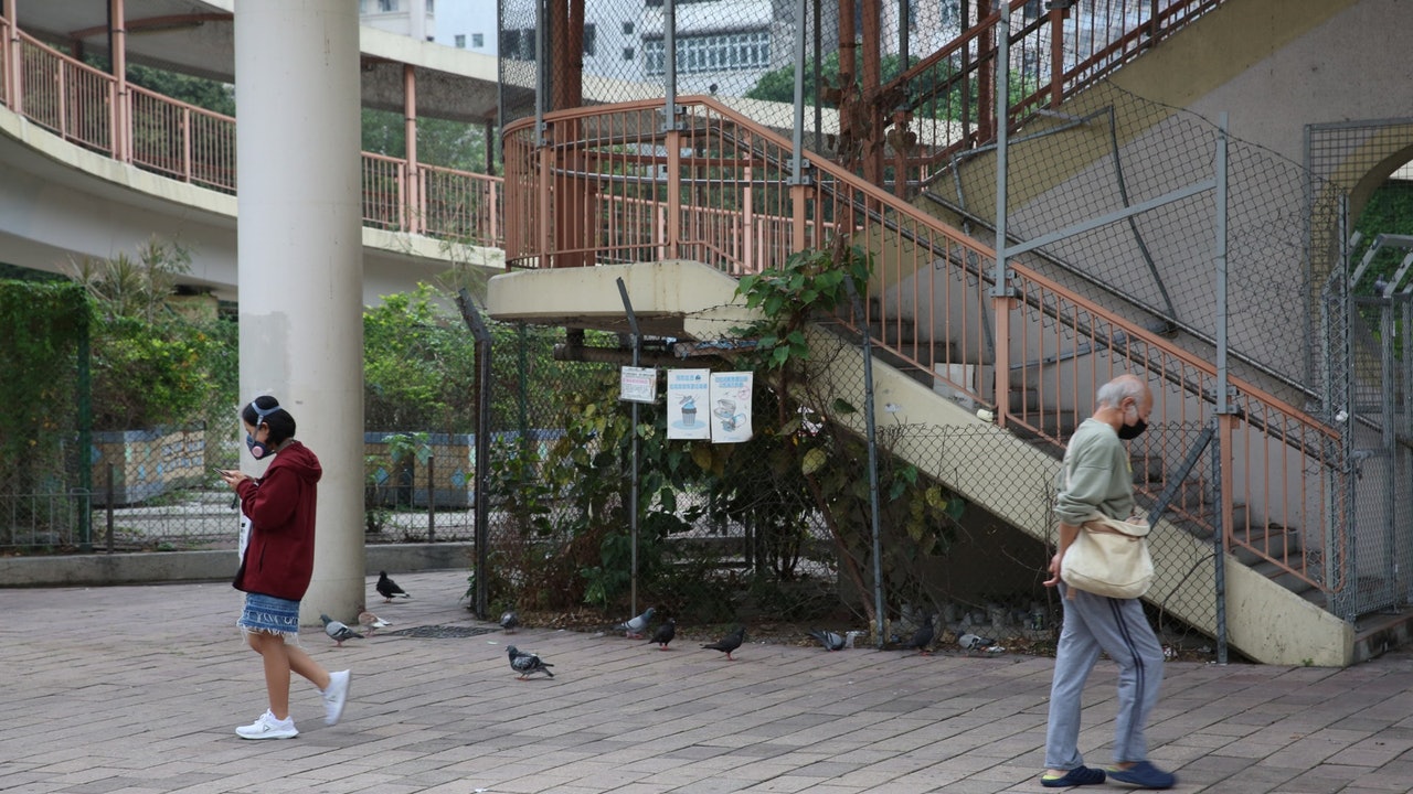 【虐殺白鴿】昌新里天橋鴿群聚居唔怕人 區議員﹕部門拒拆廢橋