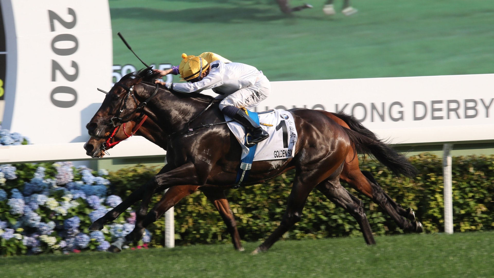 金鎗六十 揚威香港打吡賽全華人組合屬香港首次 香港01 社會新聞