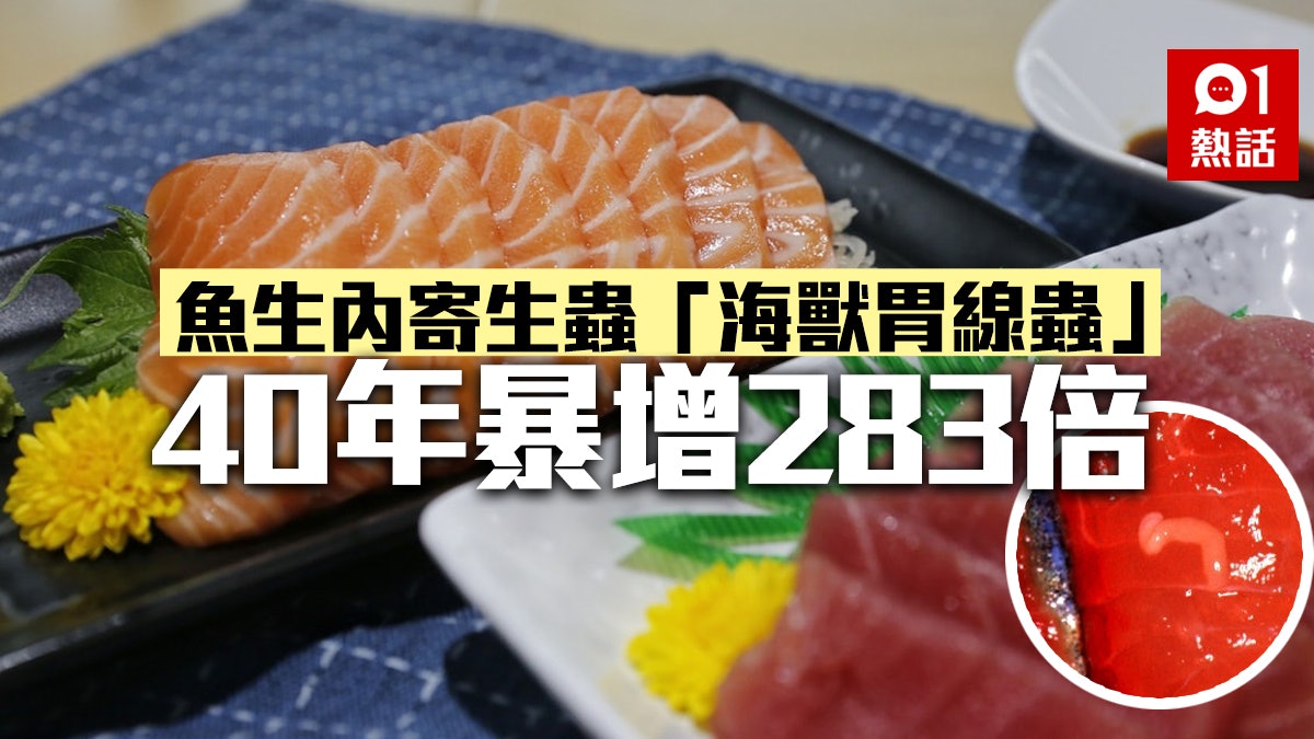 研究指魚生寄生蟲 海獸胃線蟲 近40年暴增2倍可致嘔吐腹瀉 研究指魚生寄生蟲 海獸胃線蟲 近40年暴增2倍可致嘔吐腹瀉