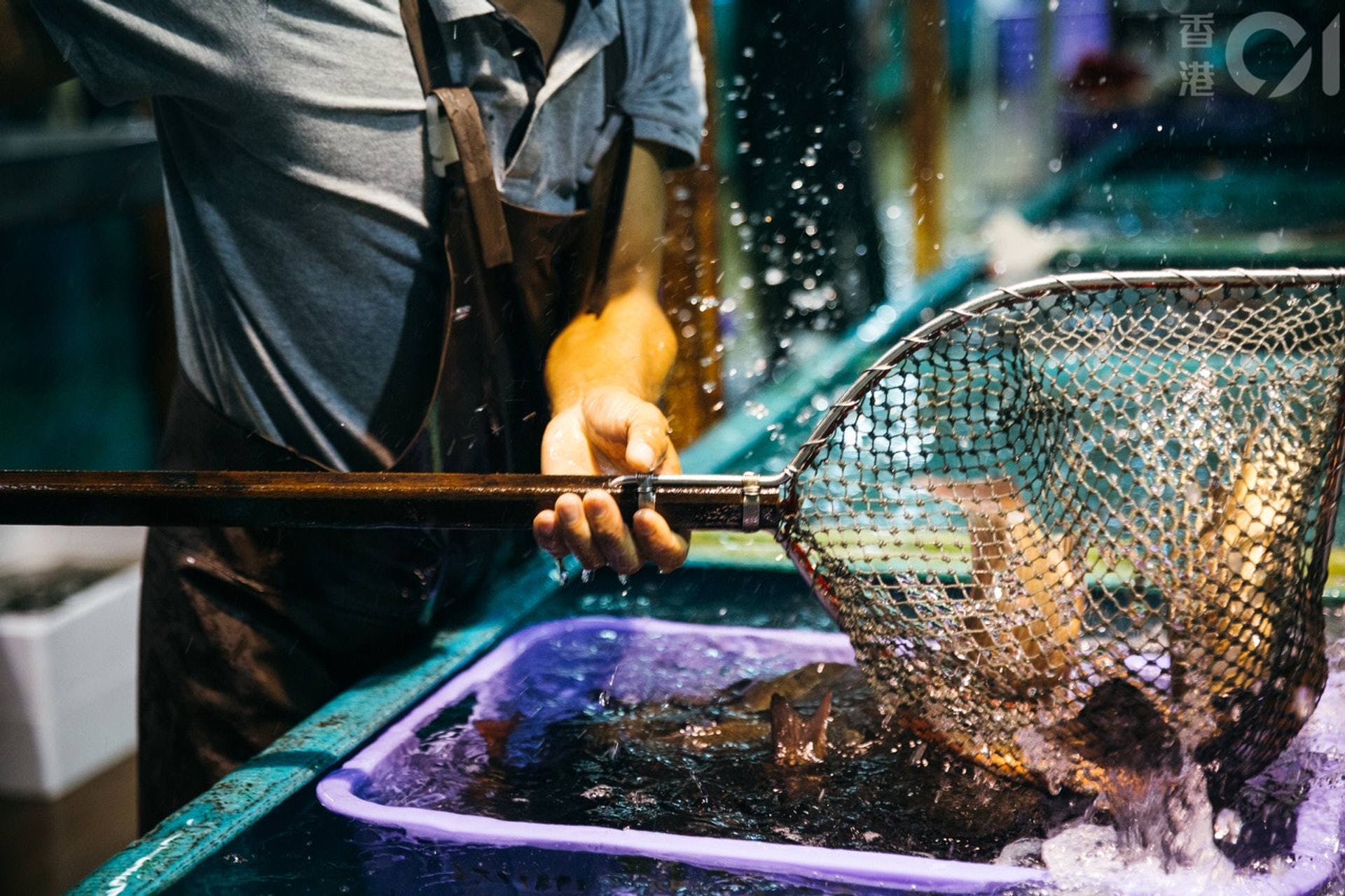 政府實施最新防疫措施,限食客人數等,鯉魚門18間海鮮酒家決定暫停營業14日。(資料圖片/歐嘉樂攝) 政府實施最新防疫措施,限食客人數等,鯉魚門18間海鮮酒家決定暫停營業14日。(資料圖片/歐嘉樂攝)