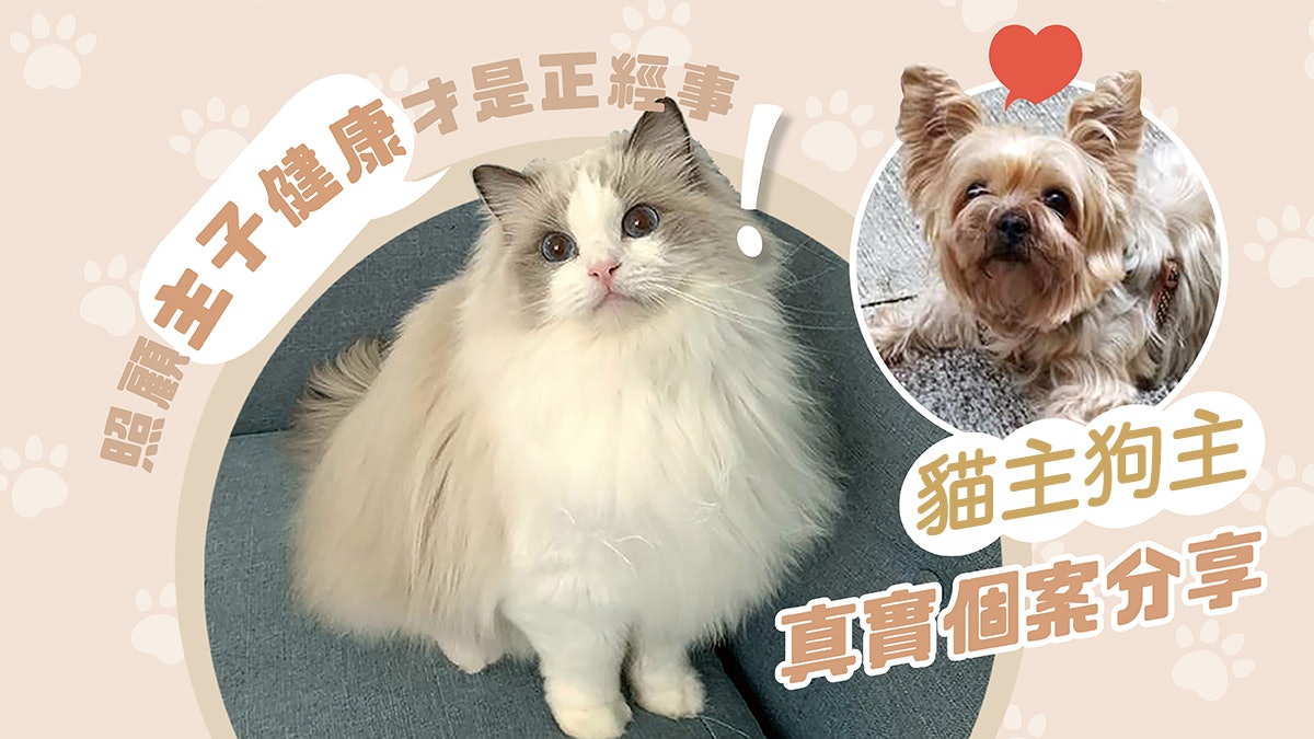 【毛孩故事】選擇優質中藥保健食品 給寵物全方位健康支持 【毛孩故事】選擇優質中藥保健食品 給寵物全方位健康支持