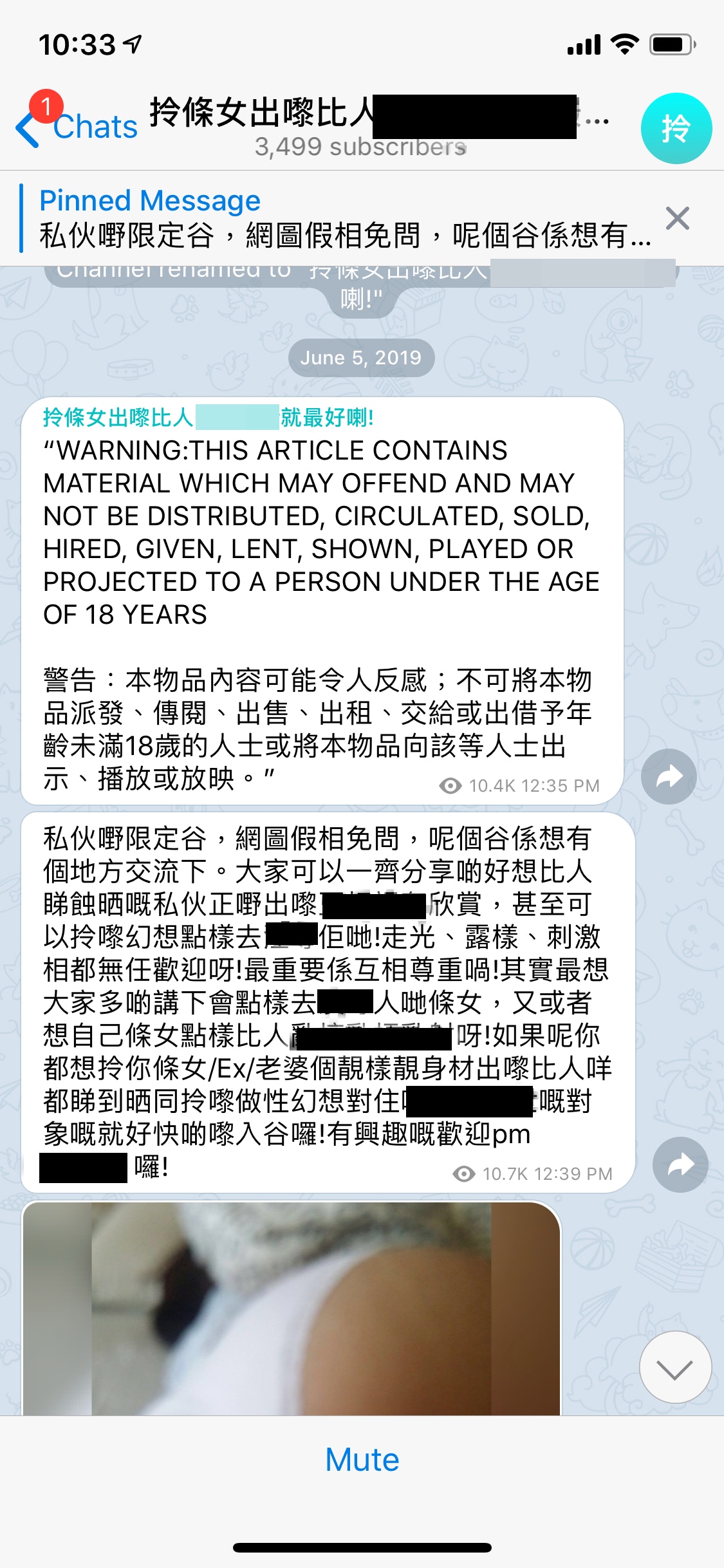 港版N號房｜Telegram群組會員交換性愛片出賣伴侶影像方可加入