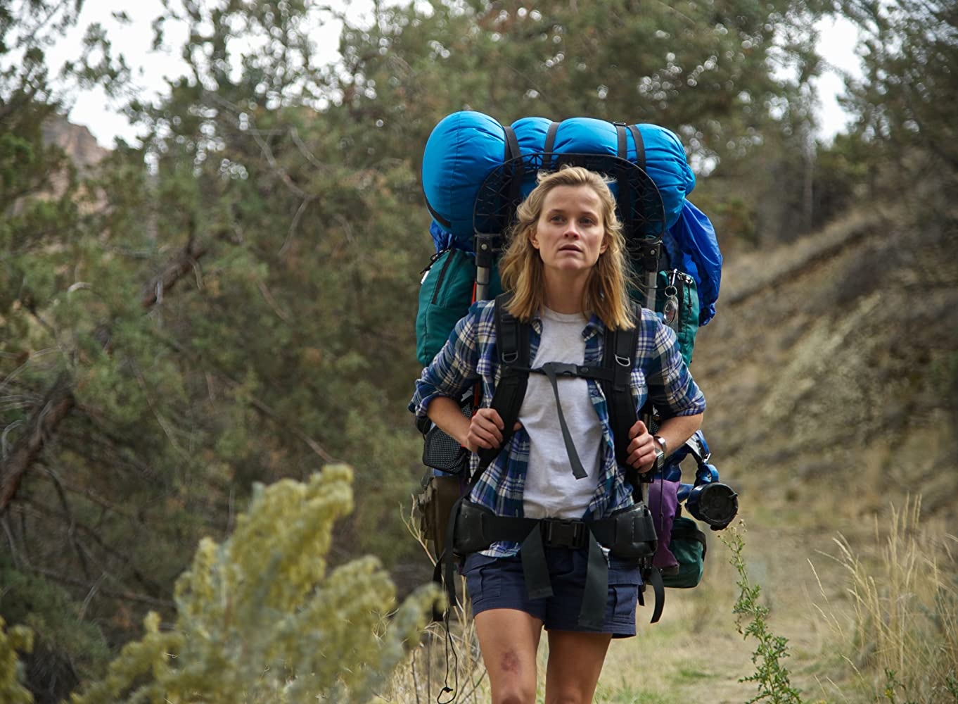電影由Reese Witherspoon主演。（劇照）