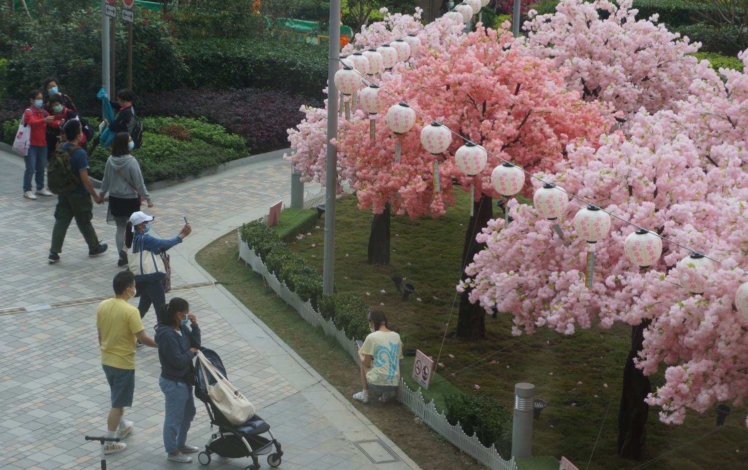 【疫下復活節】4月11日復活節第二日假期，北角海濱公園人造櫻花樹，有市民駐足拍照。（中通社）