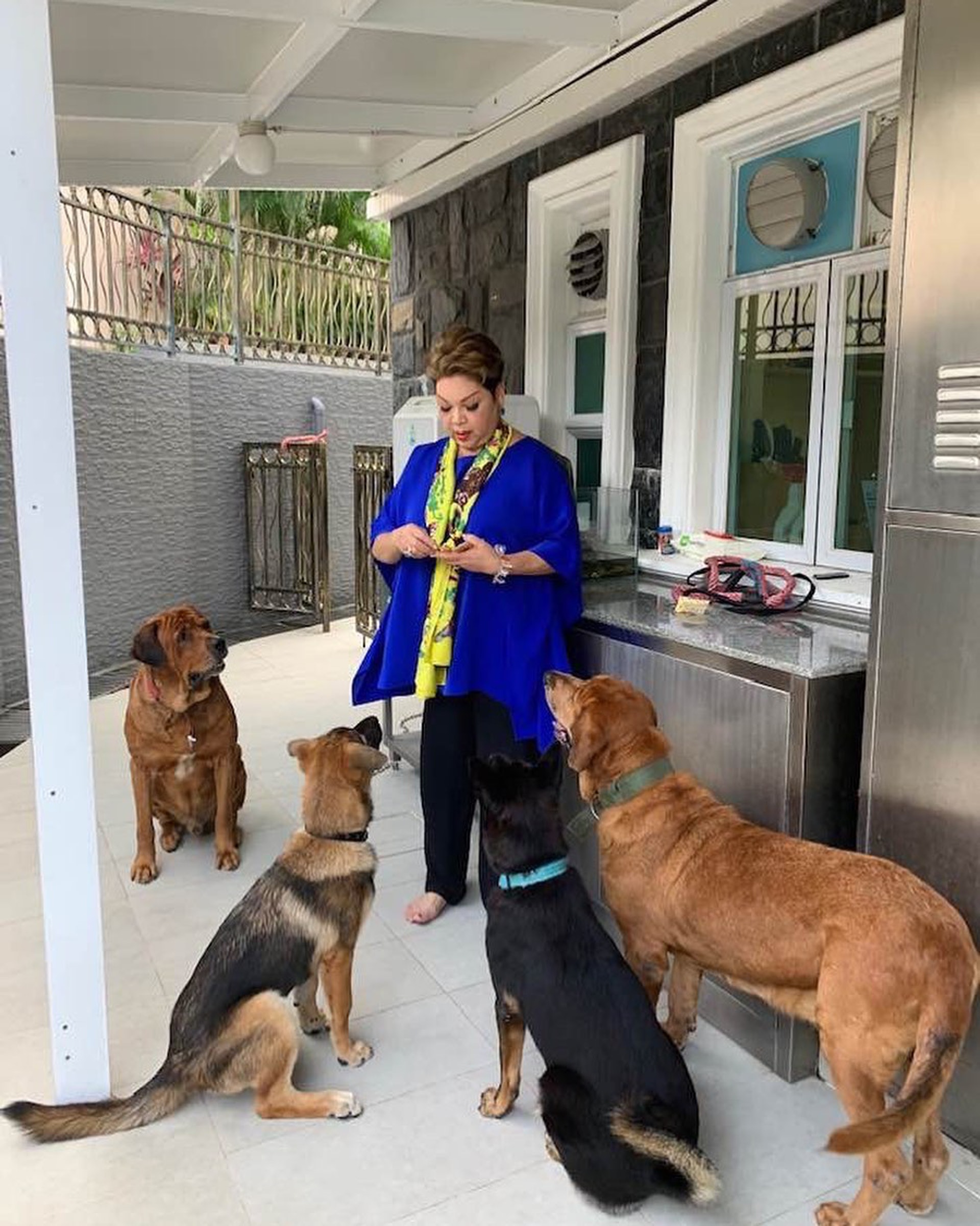 肥媽愛犬生b一出世就唔識郁靠不斷做人工呼吸成功救活 香港01 即時娛樂 肥媽愛犬生b一出世就唔識郁靠不斷做人工呼吸成功救活 香港01 即時娛樂