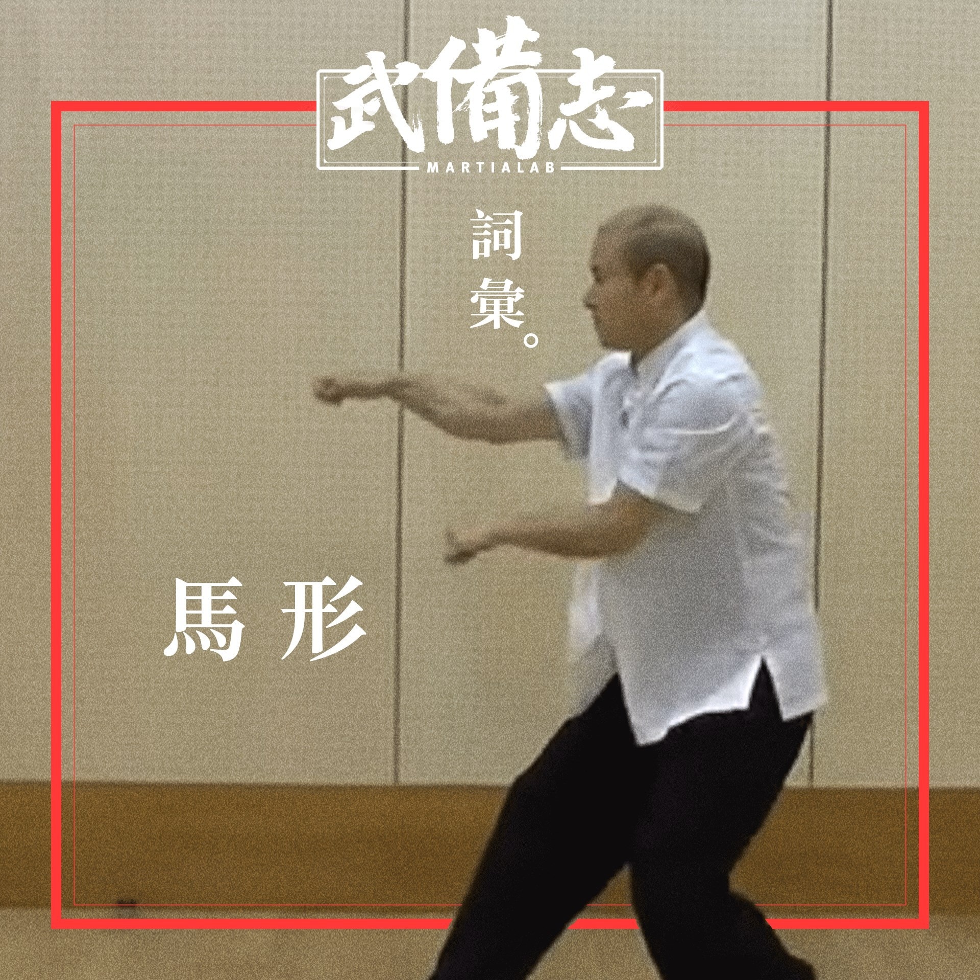 つやあり 太極拳 誠明会専用国術教材 王福来 編纂 | doppocucina.com.br