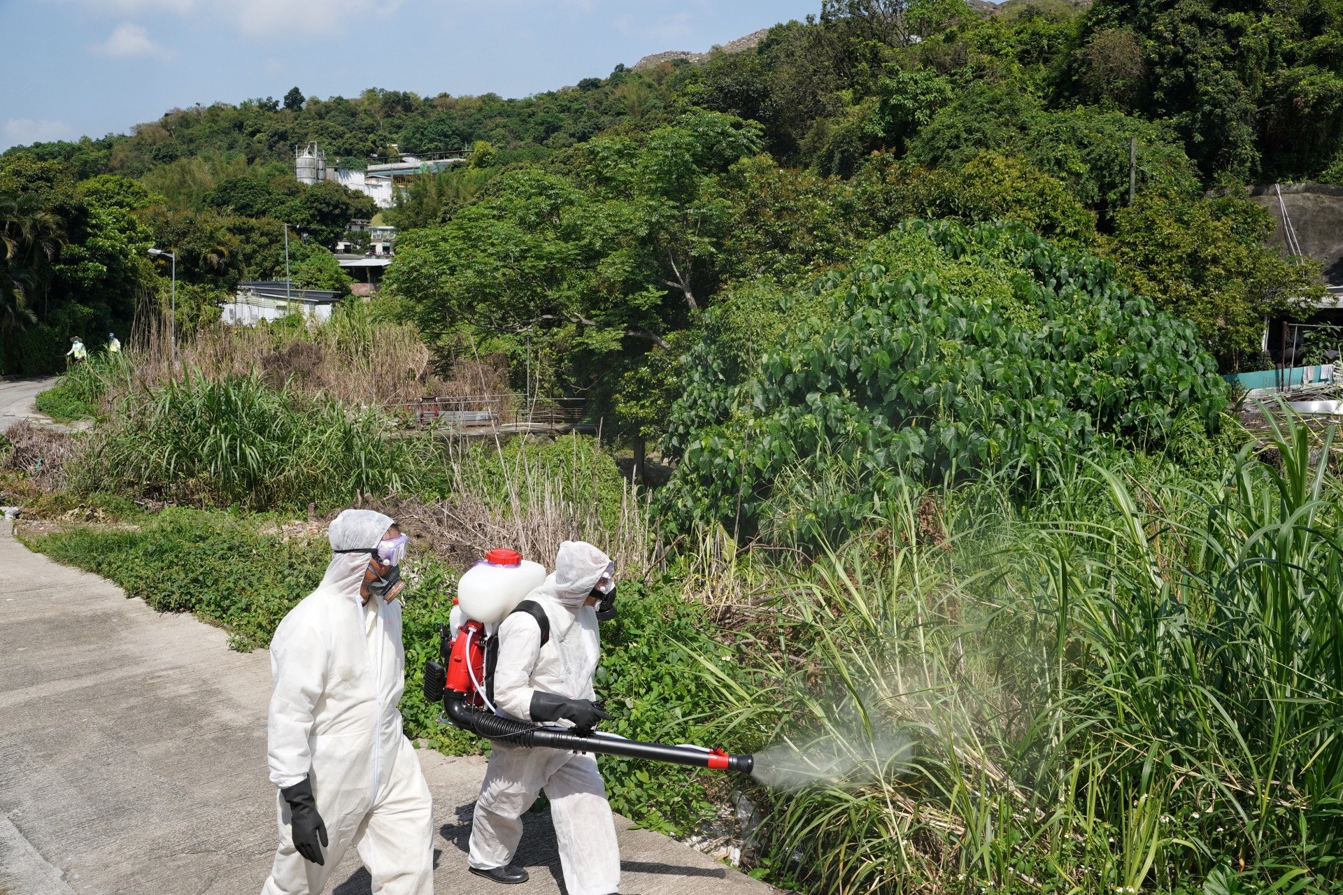 一名居元朗崇山新村的84歲男子日前確診登革熱,當局到患者所住地區進行滅蚊行動。(資料圖片/鄭子峰攝) 一名居元朗崇山新村的84歲男子日前確診登革熱,當局到患者所住地區進行滅蚊行動。(資料圖片/鄭子峰攝)