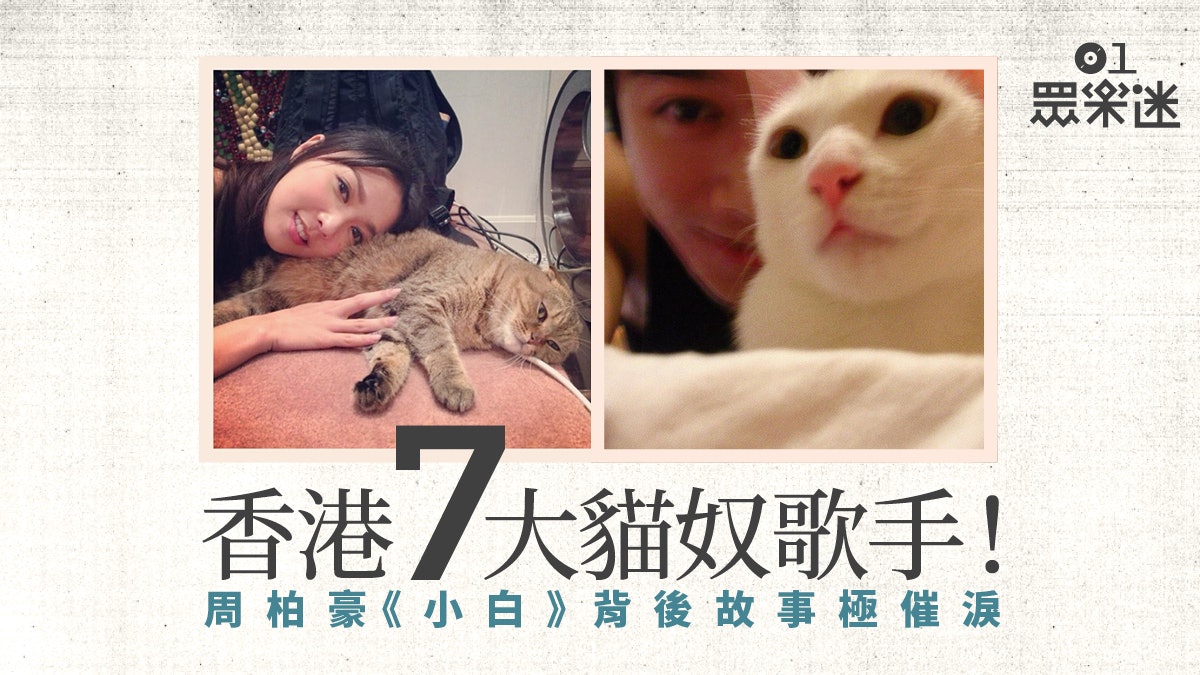 養貓人士一定有共鳴 盤點七大貓奴歌 小黑與我 真身是白貓 養貓人士一定有共鳴 盤點七大貓奴歌 小黑與我 真身是白貓