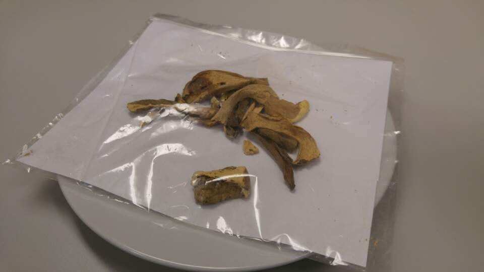 粉嶺聯和墟街巿兩店牛肝菌摻不可食用菇類　食安中心籲市民停食