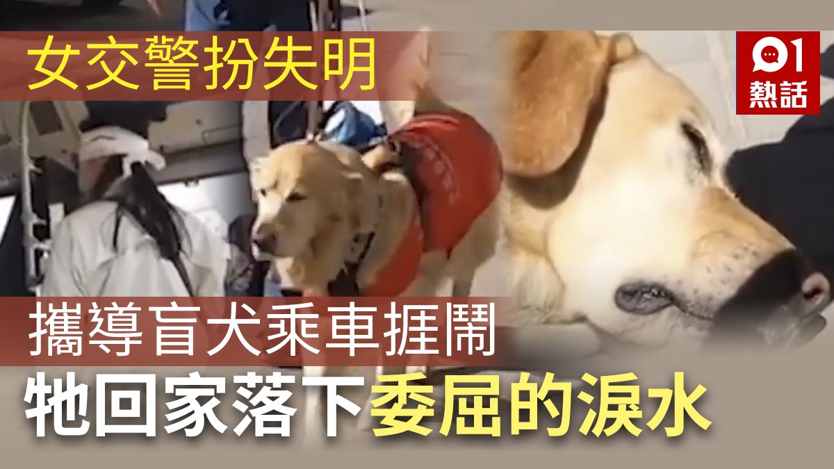 女交警都冇符親攜導盲犬上巴士被拒狗主 牠回家後嗚嗚地哭