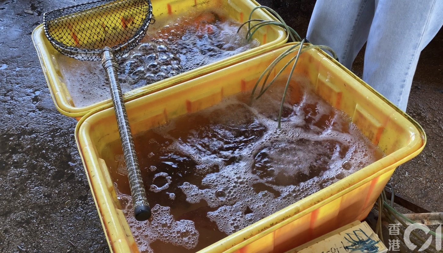 善信普遍購買500元一盤的海鮮,主要包括有䱽魚和蝦等。(黃廸雯攝) 善信普遍購買500元一盤的海鮮,主要包括有䱽魚和蝦等。(黃廸雯攝)