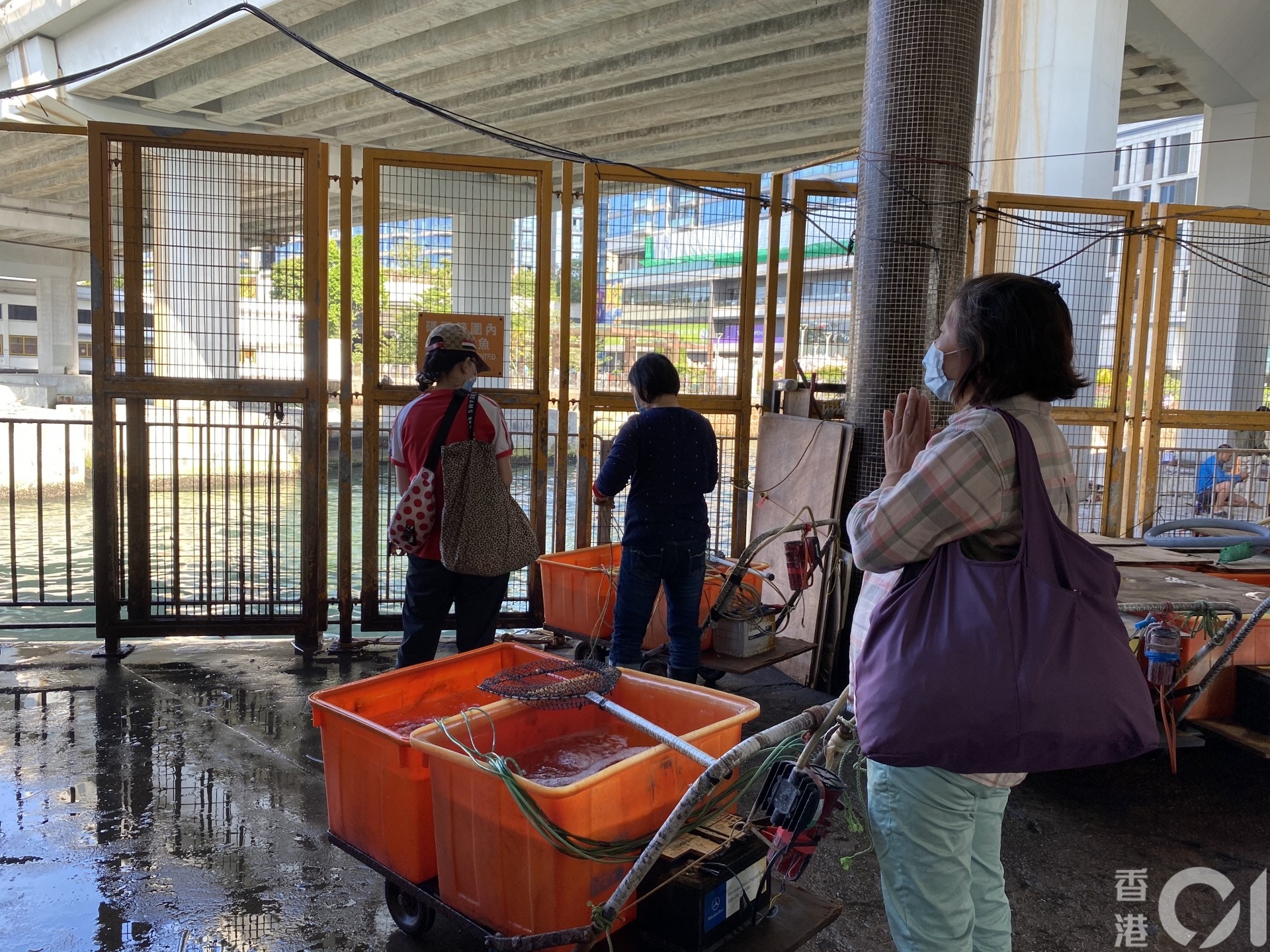 今日佛誕,不少善信到北角渡輪碼頭進行放生祈福活動。(黃廸雯攝) 今日佛誕,不少善信到北角渡輪碼頭進行放生祈福活動。(黃廸雯攝)