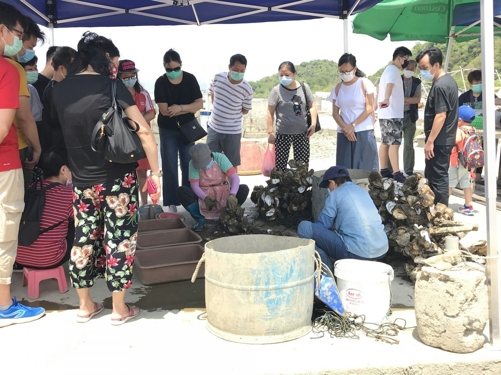 流浮山即開生蠔區吸引了不少市民圍觀。(鄧穎琳攝) 流浮山即開生蠔區吸引了不少市民圍觀。(鄧穎琳攝)