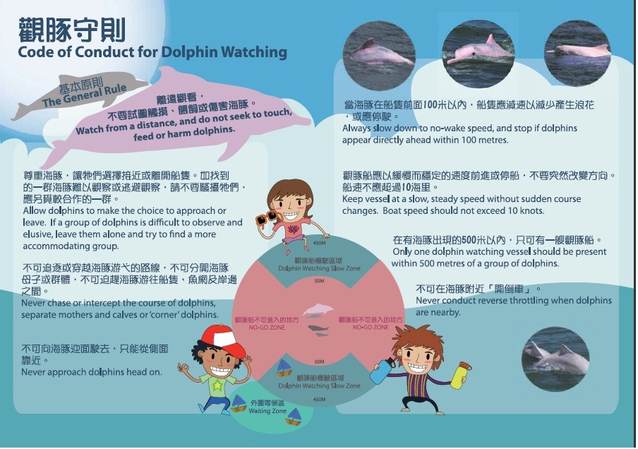 漁護署觀豚活動守則(漁護署網頁) 漁護署觀豚活動守則(漁護署網頁)
