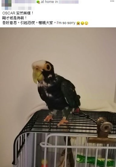 涉事女主人將鸚鵡放入微波爐的相片上載至facebook,引起軒然大波,事後發帖澄清。(facebook截圖) 涉事女主人將鸚鵡放入微波爐的相片上載至facebook,引起軒然大波,事後發帖澄清。(facebook截圖)