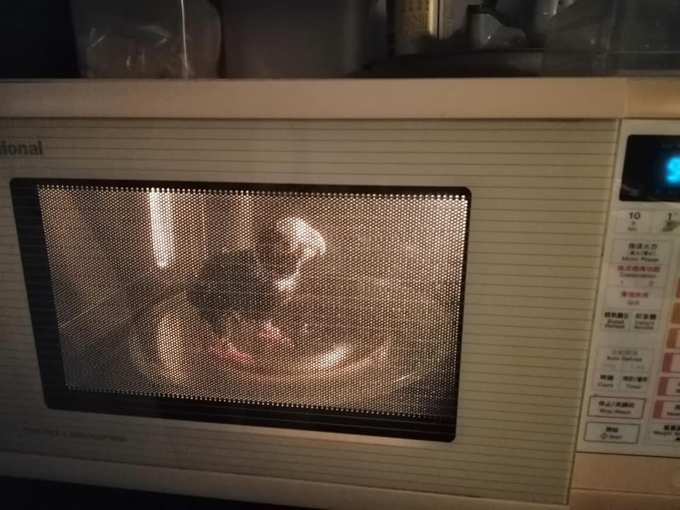 涉事女主人將鸚鵡放入微波爐的相片上載至facebook,引起軒然大波。(facebook圖片) 涉事女主人將鸚鵡放入微波爐的相片上載至facebook,引起軒然大波。(facebook圖片)