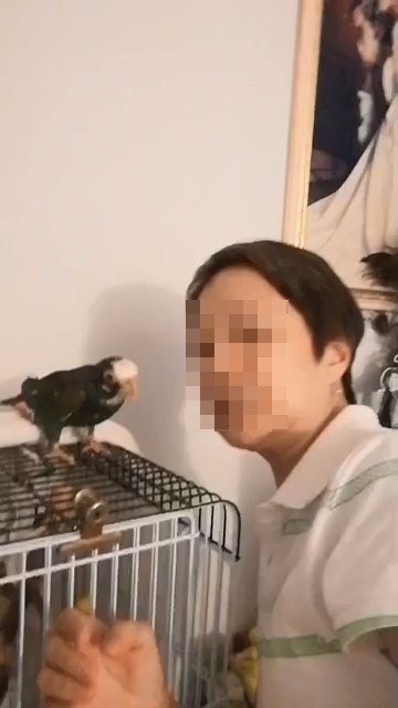 女主人開指會帶同「主角」Oscar報警求助。(facebook直播影片截圖) 女主人開指會帶同「主角」Oscar報警求助。(facebook直播影片截圖)