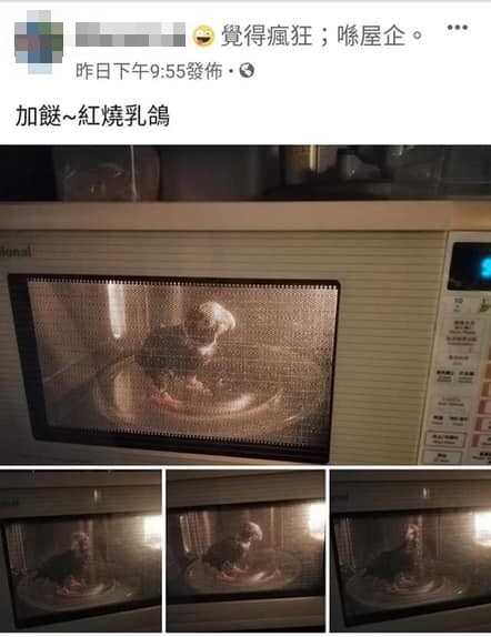涉事女主人將鸚鵡放入微波爐的相片上載至facebook,引起軒然大波。(facebook截圖) 涉事女主人將鸚鵡放入微波爐的相片上載至facebook,引起軒然大波。(facebook截圖)