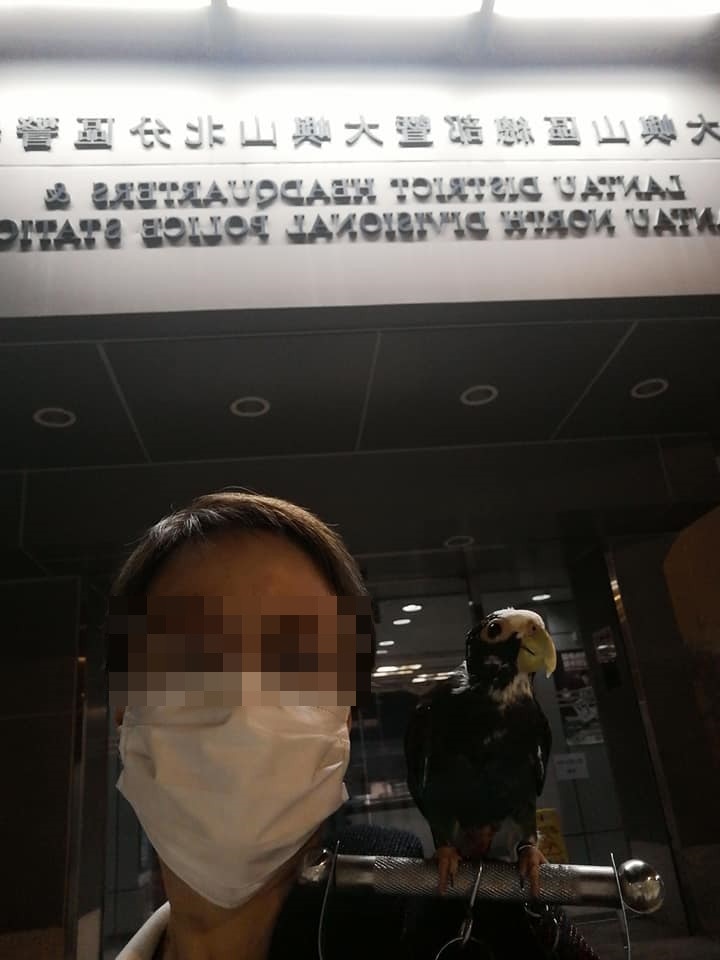 今日(5月5日)凌晨1時許,Sheron於facebook上載在東涌警署門外的相片,表示帶同鸚鵡Oscar前往報案。 今日(5月5日)凌晨1時許,Sheron於facebook上載在東涌警署門外的相片,表示帶同鸚鵡Oscar前往報案。