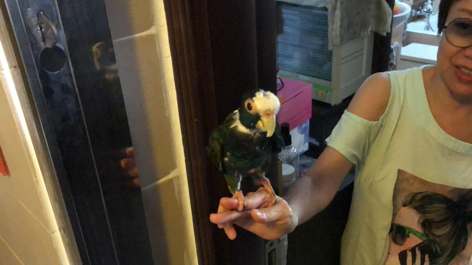 Sheron指,事件中的鸚鵡Oscar目前已11歲,6個月大時便購入並開始飼養牠。(鄧詠中攝) Sheron指,事件中的鸚鵡Oscar目前已11歲,6個月大時便購入並開始飼養牠。(鄧詠中攝)